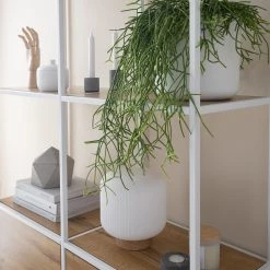 Fredriks Étagère Meon III - Imitation chêne - Largeur : 101 cm 49 Fredriks Étagère Meon III - Imitation chêne - Largeur : 101 cm -Meubles de salle à manger Soldes Magasin 1000213233 201124 10313600029 DETAILS P000000001000213233