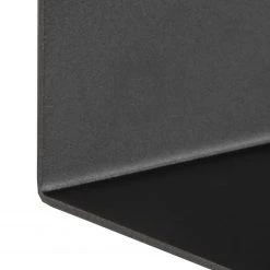 Red Living Étagère murale Targon (lot de 2) - Métal - Noir -Meubles de salle à manger Soldes Magasin 1000235869 201218 06160900078 DETAILS P000000001000235869