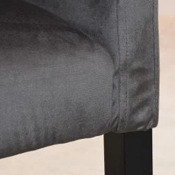Velvet Studio Chaise à accoudoirs Meaux - Velours / Hêtre massif -Anthracite / Noir 12 Velvet Studio Chaise à accoudoirs Meaux - Velours / Hêtre massif -Anthracite / Noir -Meubles de salle à manger Soldes Magasin 1000241546 210121 14210800012 DETAILS P000000001000241546