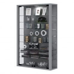 VCM Vitrine murale Vitrosa II - Argenté
