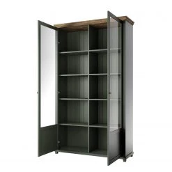 Ridgevalley Vitrine haute Emmanuela - Vert foncé -Meubles de salle à manger Soldes Magasin 1000339983 220317 030 DETAILS P000000001000339983