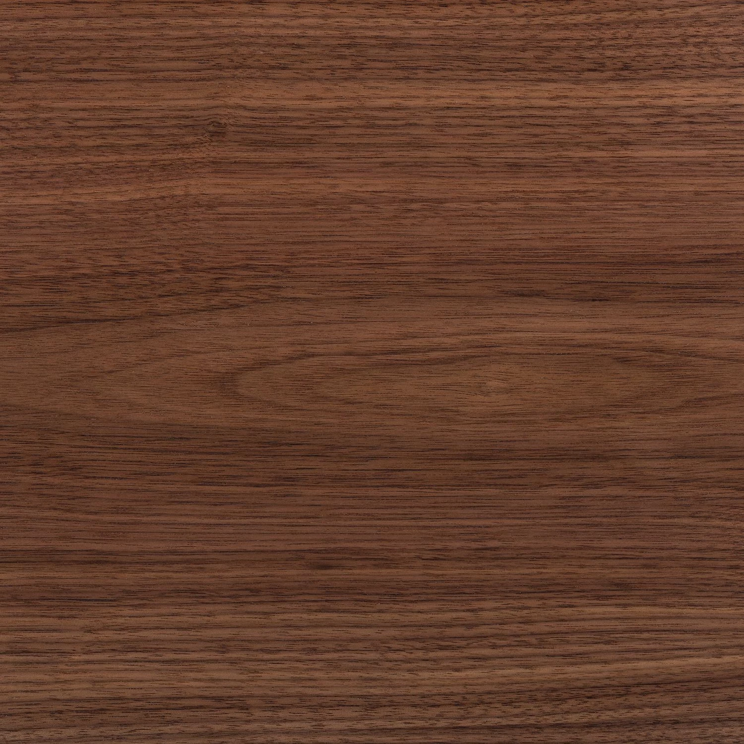 Eva Padberg Collection Buffet Payara - Noyer / Anthracite 17 Eva Padberg Collection Buffet Payara - Noyer / Anthracite – Image 17